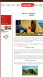 Mobile Screenshot of caranex.com